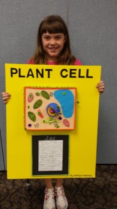 KH cell project