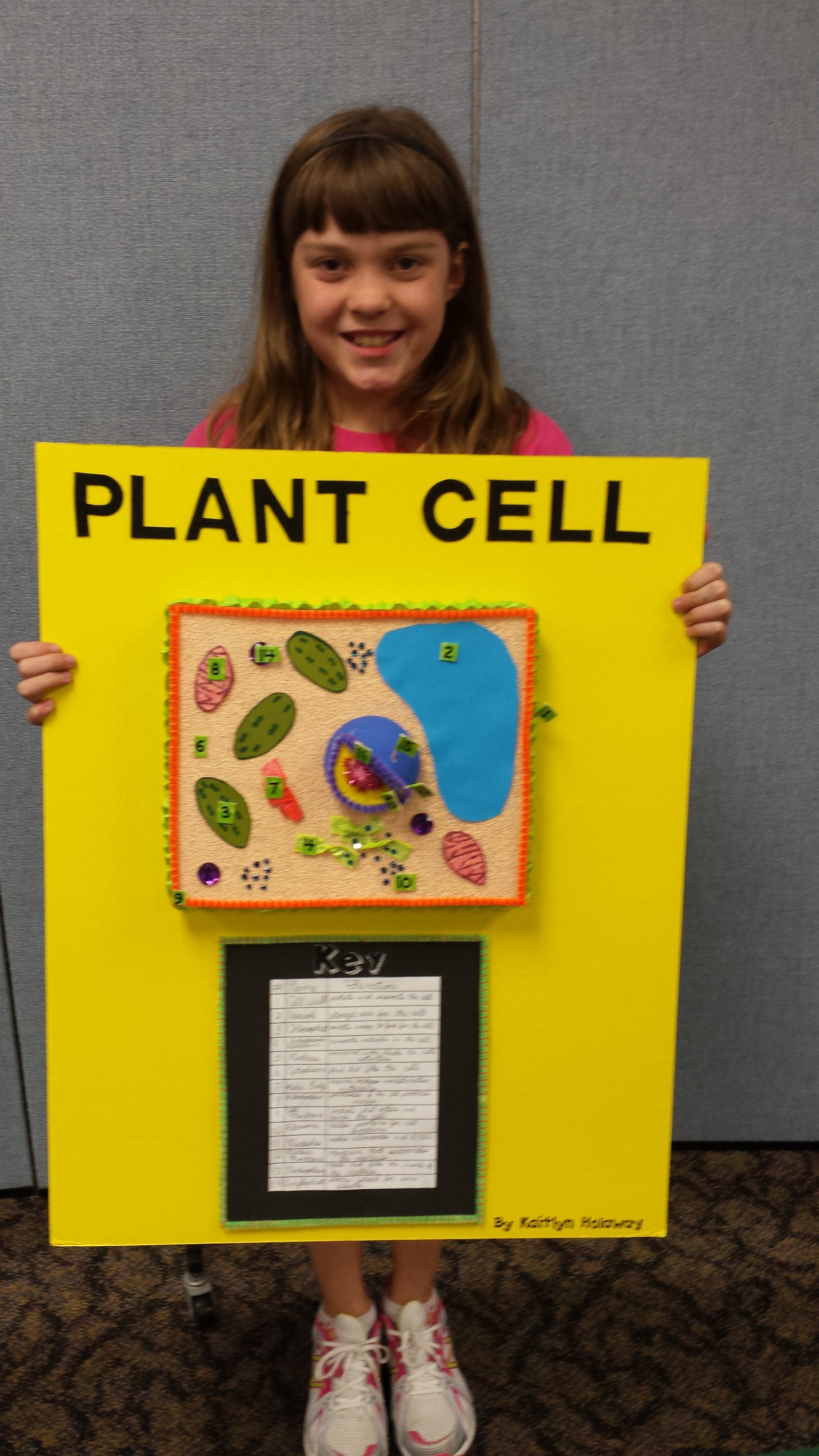 plant cell project ideas 5th grade
