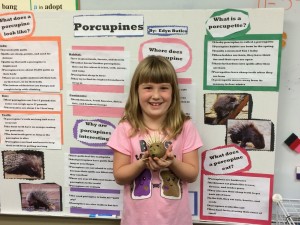 2nd grade Animal Reports