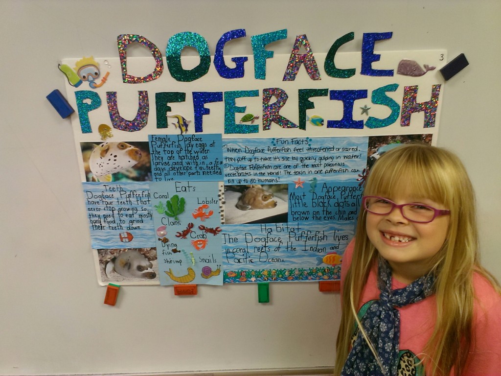 Dog-faced Pufferfish