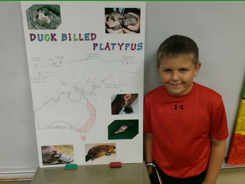The Duck-Billed Platypus